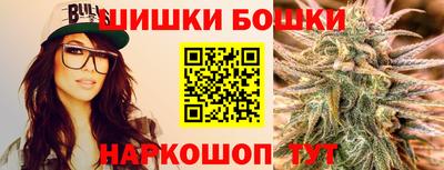индика Новозыбков