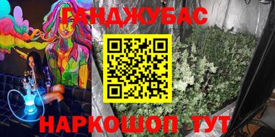 индика Новозыбков