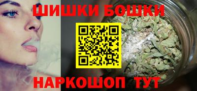 индика Новозыбков