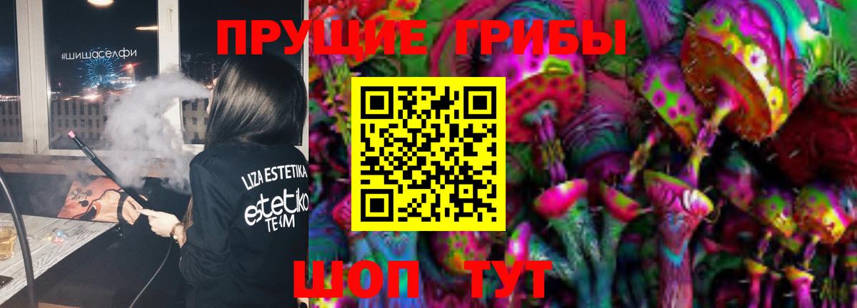 Псилоцибиновые грибы Psilocybine cubensis  Вход с VPN  Ступино 